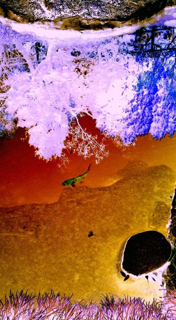 Picture